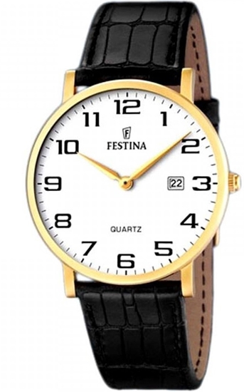 Снимка на Festina F16478/1